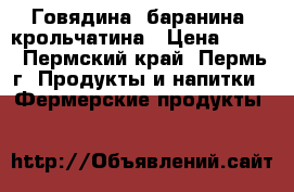 Говядина, баранина, крольчатина › Цена ­ 290 - Пермский край, Пермь г. Продукты и напитки » Фермерские продукты   